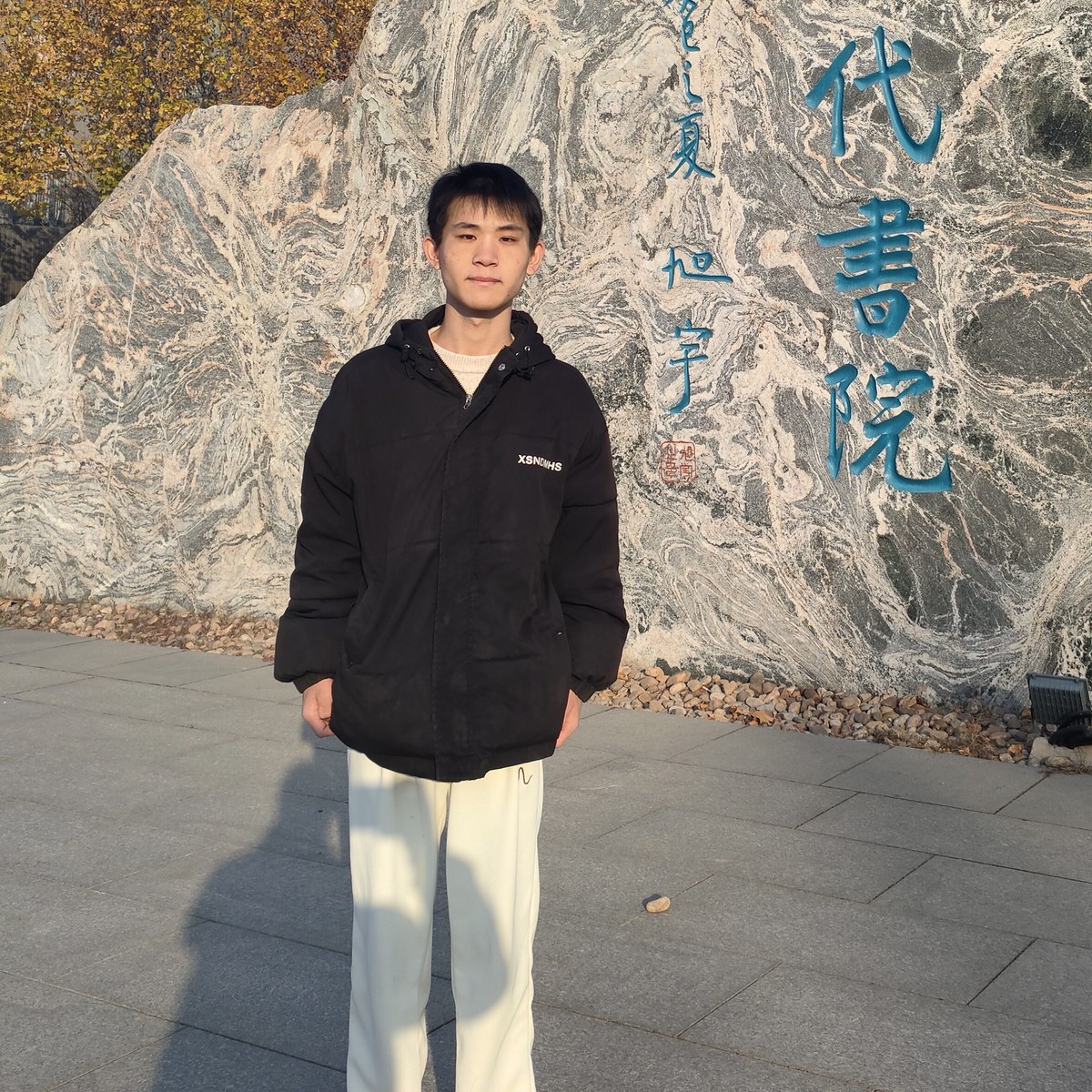 Portrait of Shidao Wang 王世道