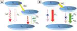 Photosensitizers with Aggregation-Induced Emission: Materials and Biomedical Applications