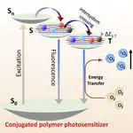 Polymerization-enhanced photosensitization
