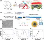 Precise Deciphering of Brain Vasculatures and Microscopic Tumors with Dual NIR-II Fluorescence and Photoacoustic Imaging