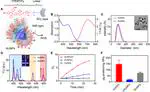 AIEgen-coupled upconversion nanoparticles eradicate solid tumors through dual-mode ROS activation
