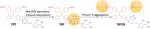 Precise Molecular Engineering of Photosensitizers with Aggregation-Induced Emission over 800 nm for Photodynamic Therapy