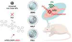 Nanostructural Control Enables Optimized Photoacoustic–Fluorescence–Magnetic Resonance Multimodal Imaging and Photothermal Therapy of Brain Tumor