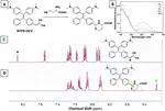 A light-up endoplasmic reticulum probe based on a rational design of red-emissive fluorogens with aggregation-induced emission