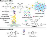 A biosensor based on self-clickable AIEgen: a signal amplification strategy for ultrasensitive immunoassays
