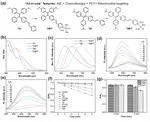 All-in-One Molecular Aggregation-Induced Emission Theranostics: Fluorescence Image Guided and Mitochondria Targeted Chemo- and Photodynamic Cancer Cell Ablation