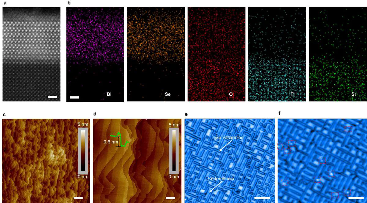 Top: a cross-sectional electron micrograph and maps labeled Bi, Se, O, Ti and Sr. Bottom: atomic-force and scanning-tunneling images show surface terraces, selenium vacancies and oxygen adsorption.